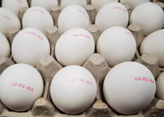 RNJet EP-6H Industrial Continuous Inkjet Printer