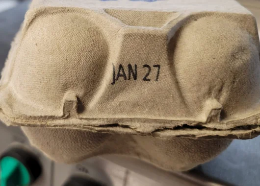 RNJet EP-6H Industrial Continuous Inkjet Printer