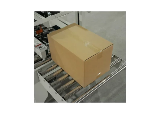 Double Column Flaps Folding Carton Sealer – GPC-50