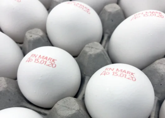 RNJet EP-6H Industrial Continuous Inkjet Printer